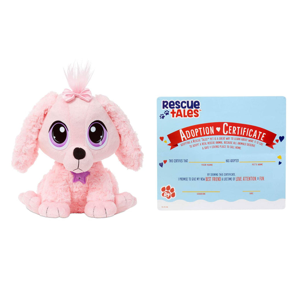 Rescue Tales Adoptable Pets - Poodle with adoption certificate